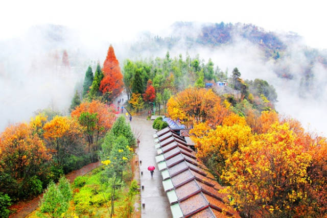 7月份重庆旅游最适合穿什么衣服(十月份重庆旅游穿什么)(图1) 重庆到张家界自驾游旅游全攻略
