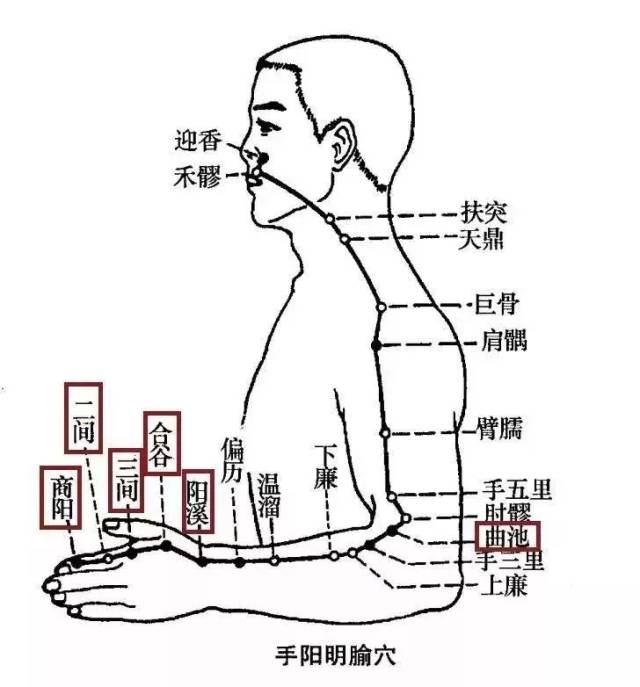 手少阳大肠经经络图,大肠和肺络图,手少阳三焦络图_文秘苑图库