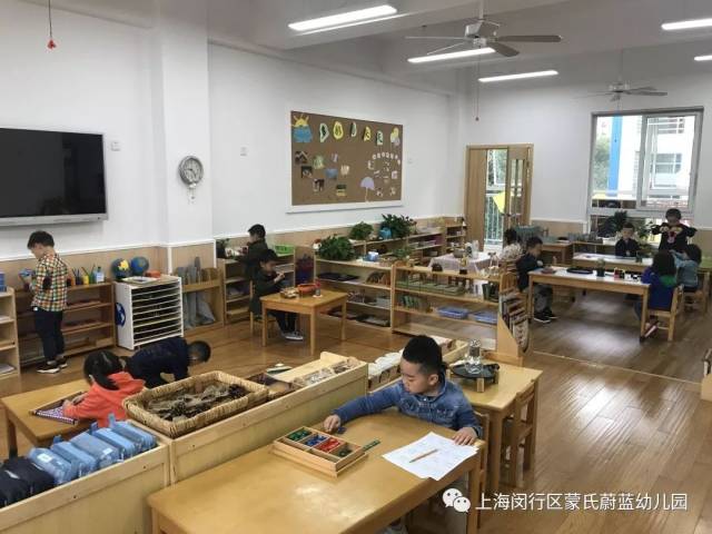 蒙氏教育理论学习
