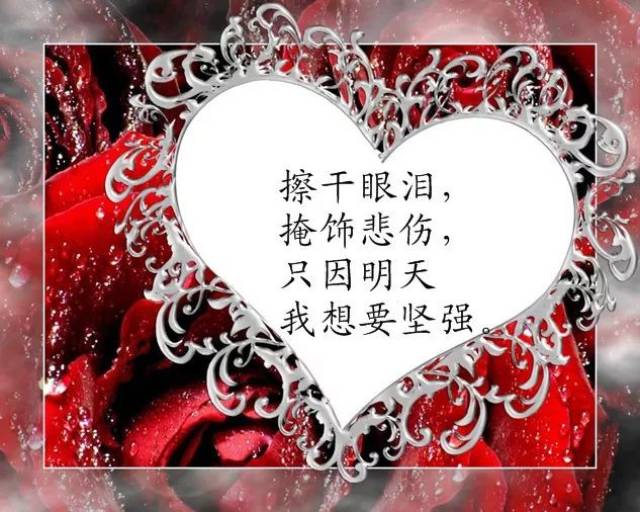 最新人生哲理经典句子 微信早安触动人心的一段话