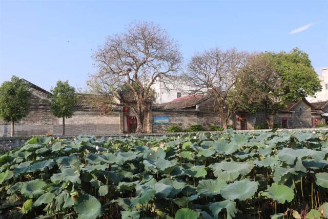 以梁村鎮洊水村,花石村 和崗坪鎮睦淵村3個行政村為主體村, 規劃有