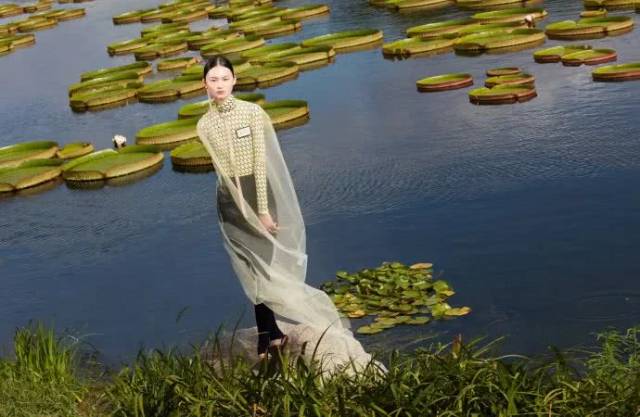 摄影师 曾无 摄影作品集