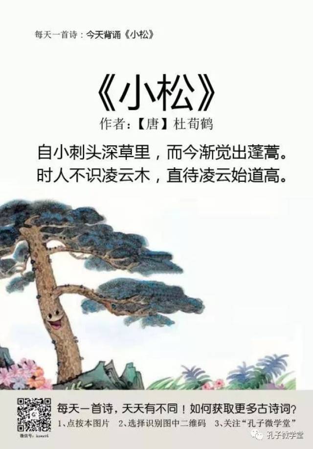 每天一首古诗(60)|《小松》