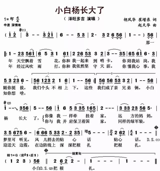 "小白杨"故事的延续,泽旺多吉一首《小白杨长大了》致敬经典!