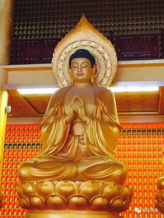 慈玉济寺释迦牟尼佛成道日讲经法讯