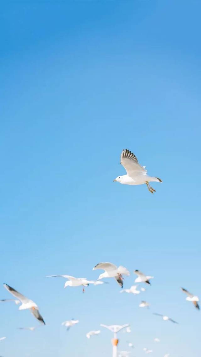 【壁纸】你身边的00后现在的生活状态是