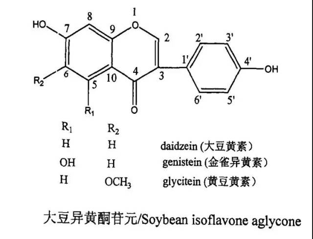 大豆异黄酮结构图片