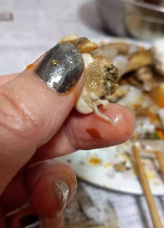 好好的海鲜有"虫子" 这蛏子还敢吃吗?