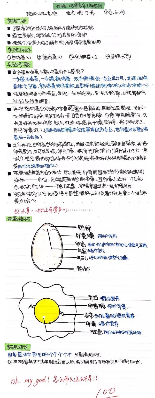 爱上心远之鸡蛋的秘密——心远中学初二生物组学科活动