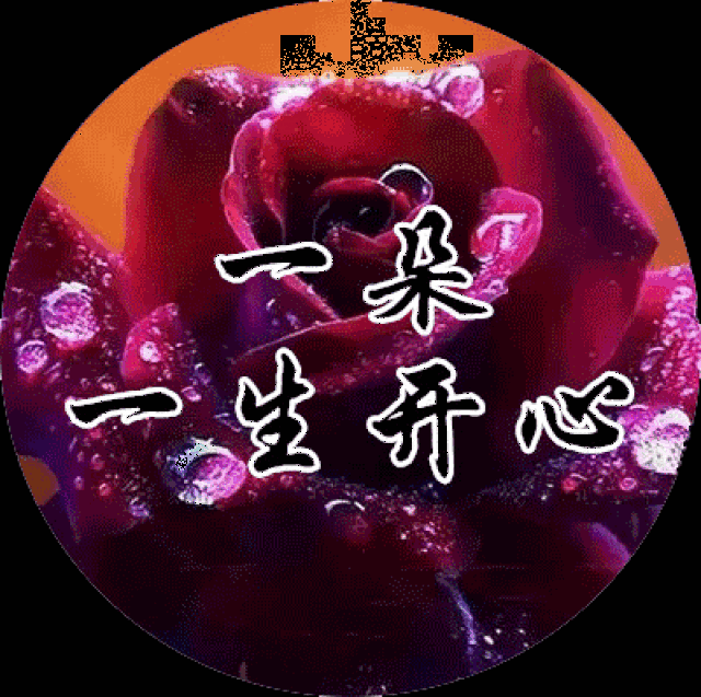 2018最后一个月,一首《我是你的玫瑰花》致我最牵挂的你!