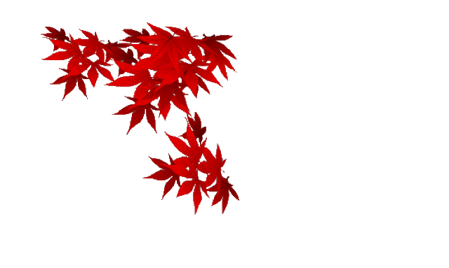 【校园宣传片】学校的样子--牛桥街小学专题纪录片