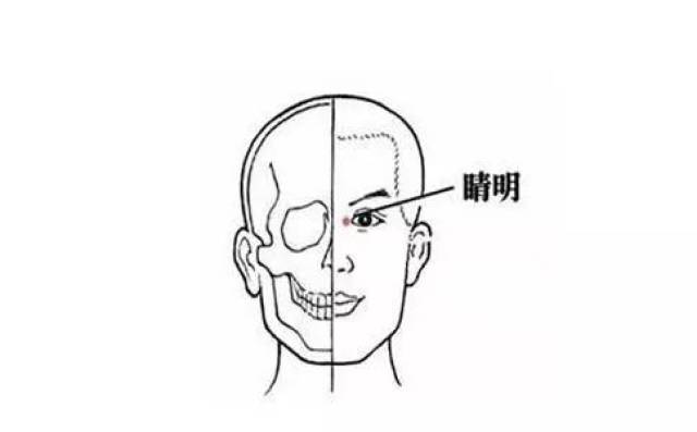 阳白准确位置图和作用,承泣四白的准确位置图,曲的准确位置图片(第11页)_大山谷图库