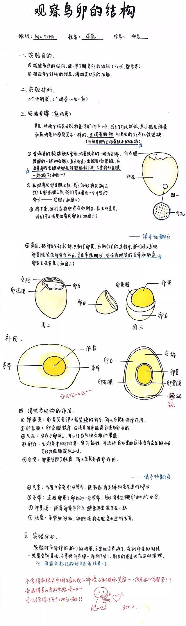 生鸡蛋的结构示意图图片