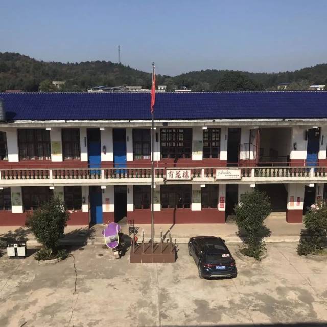 常青动态 | "放飞梦想"11月项目回顾