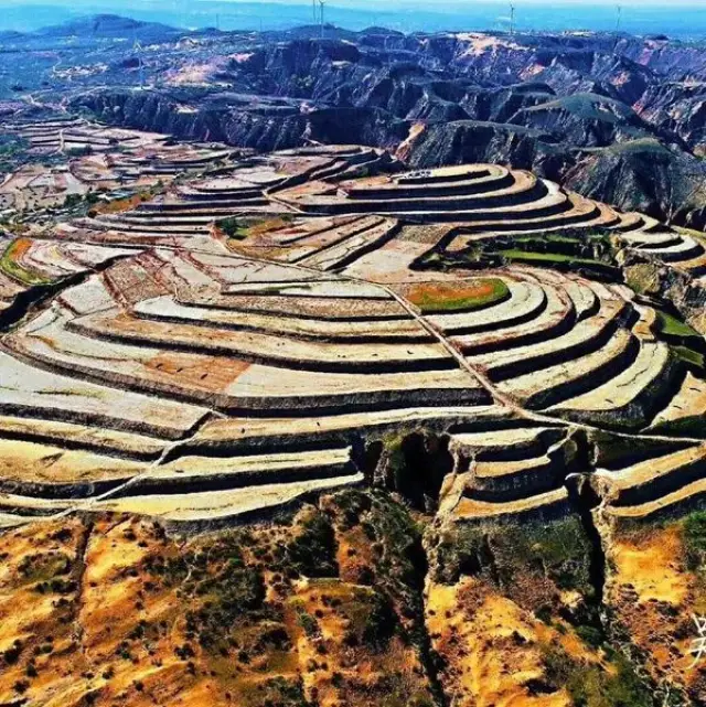 横山区陈大梁村 "一推二种三销四绿化" 产业扶贫模式