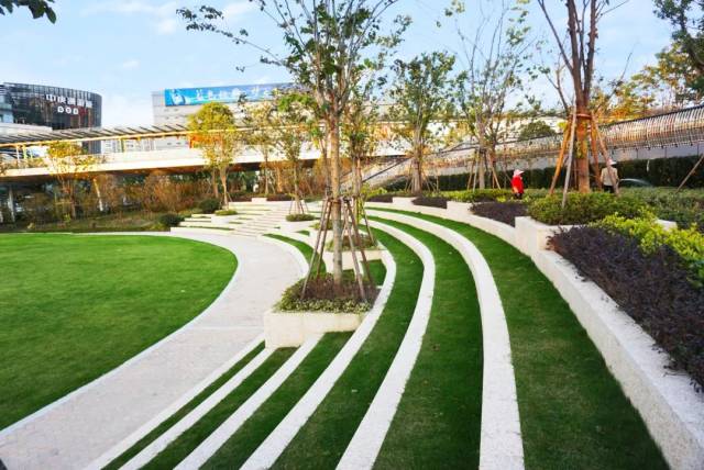 阳光大草坪  宽敞的大草坪,围绕弧形的草阶,碧草如茵,宁静祥和