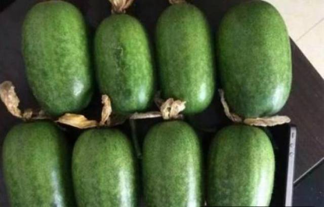 这个"水果冬瓜",不用施肥不用农药,产量高销路快,圆了赚钱梦