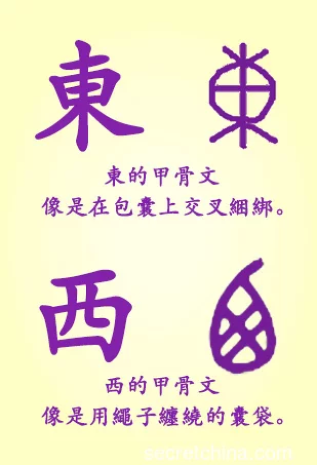 东与西的甲骨文