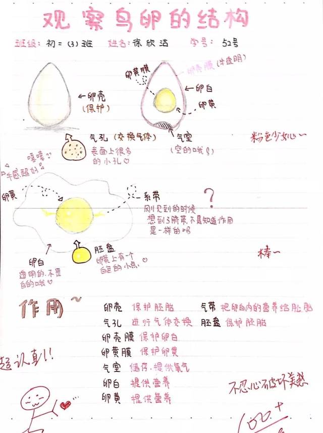 愛上心遠之雞蛋的秘密——心遠中學初二生物組學科活動