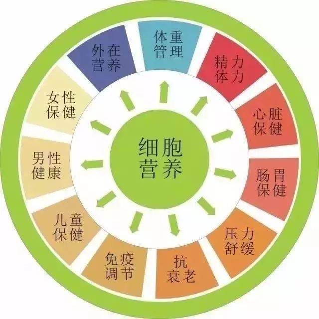 细胞是决定人体健康的基本要素