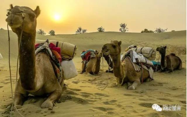 学英语 ｜ 你是哪一种旅行者？快来对号入座吧~