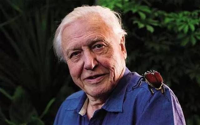 bbc纪录片原来是这样偷拍的,新片拿下9.7高分!_手机搜狐网