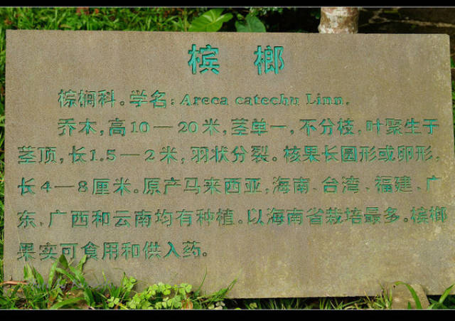 玩转海口,海口经典美景和本土美食攻略