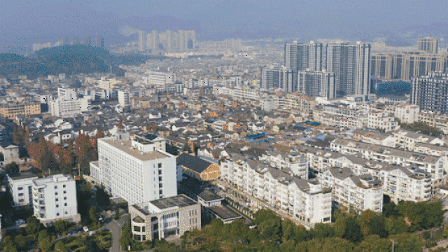 浦江镇发展图片