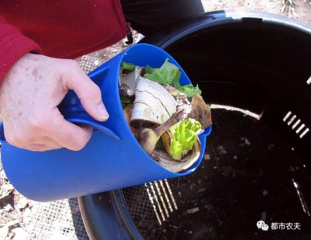 怎么沤肥几张图给你说明白