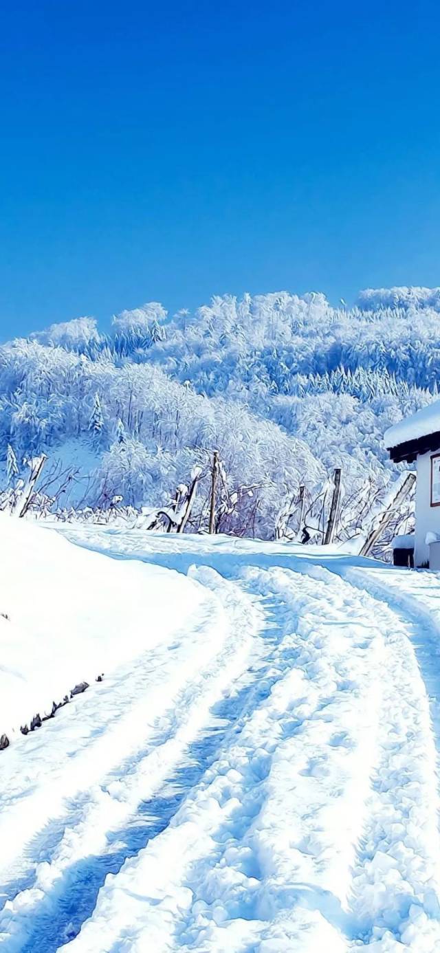 iphone 壁纸分享:雪景