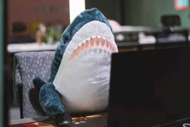 超火全世界都在刷的网红鲨鱼治愈抱枕