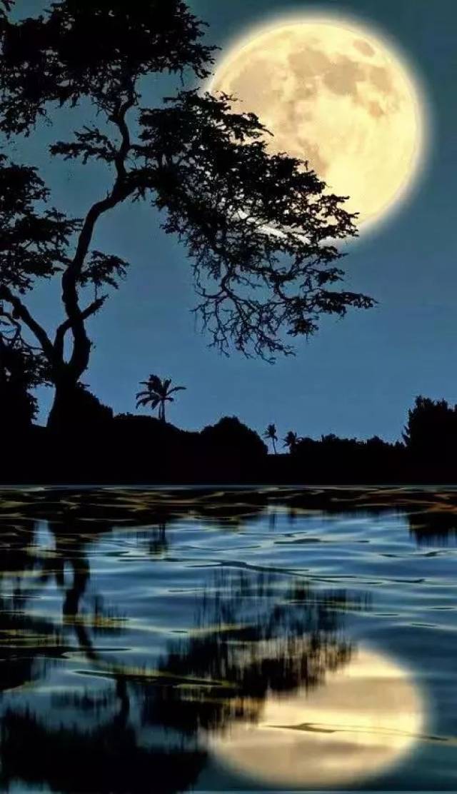 朗诵欣赏 || 离离原上草:白月光,作者:笔落倾城