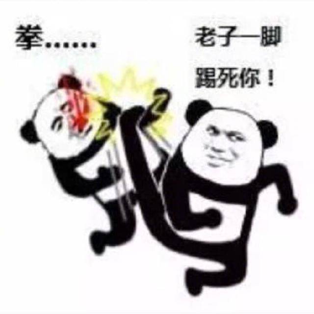 熊猫表情包 搞笑 功夫图片