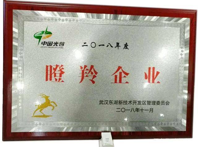 光谷电气荣获中国光谷2018年度瞪羚企业