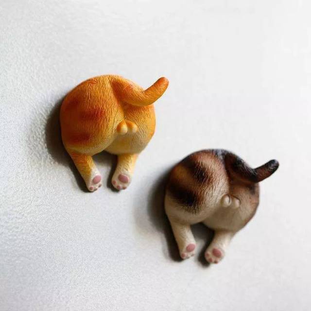 猫咪的蛋蛋也太可爱了吧!