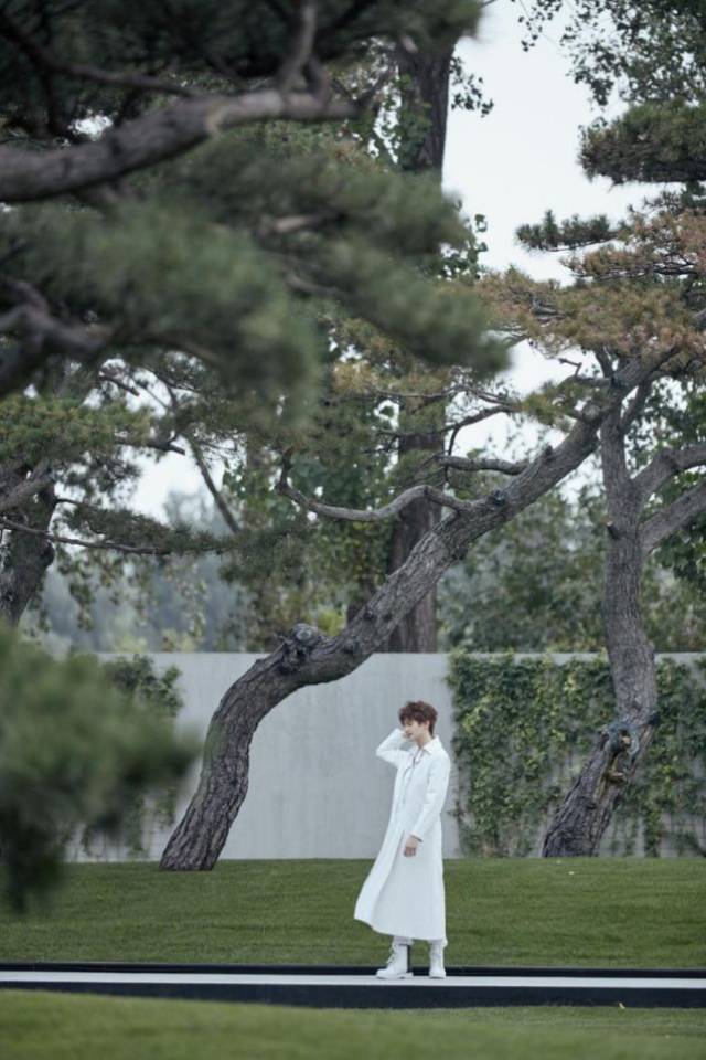 chu wang hua: jasmine flower 储望华 茉莉花