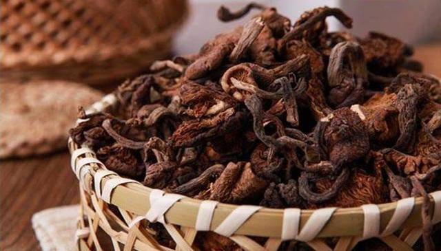 榛蘑丨被誉为东北第四宝的"山珍",无法人工复制的美味!