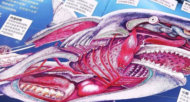 中小学7大学科知识,孩子读这一套就疯狂爱上数理化