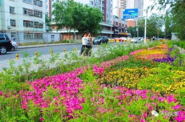 记乌鲁木齐高新区(新市区)建设局(交通局,人防办)驻南纬路片区青海路