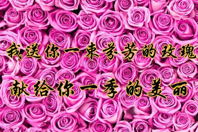 冬至,一首《有你真好》太漂亮了,送给想我的人!_手机搜狐网