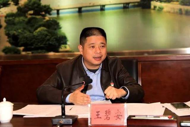 王碧安:精准高质量招商 着力优化营商环境 推动南雄高质量发展