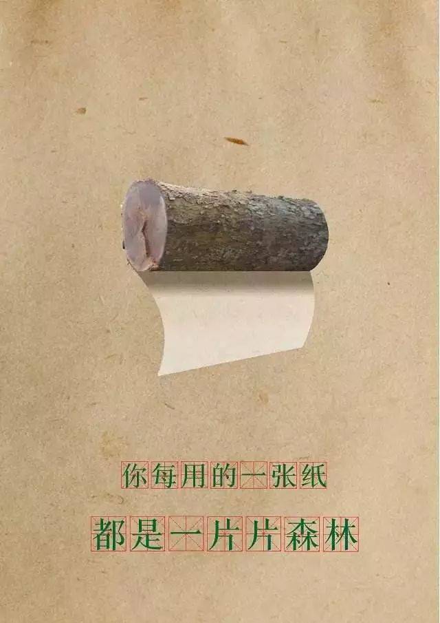 浪费纸张就等于加入了砍伐森林的行列