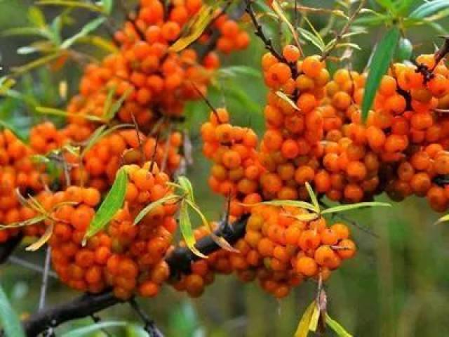 市民可以在家门口买到漳县特产啦