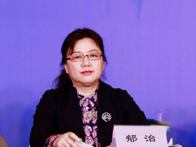 北京市西城区政府副区长郁治 图片来源于中国网