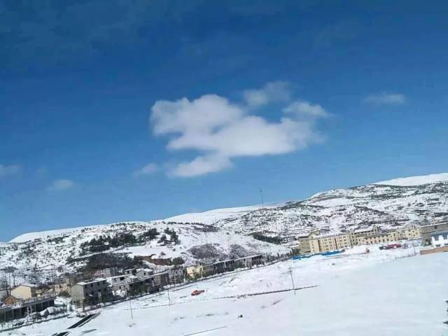 大山包下雪了,雪景好美!