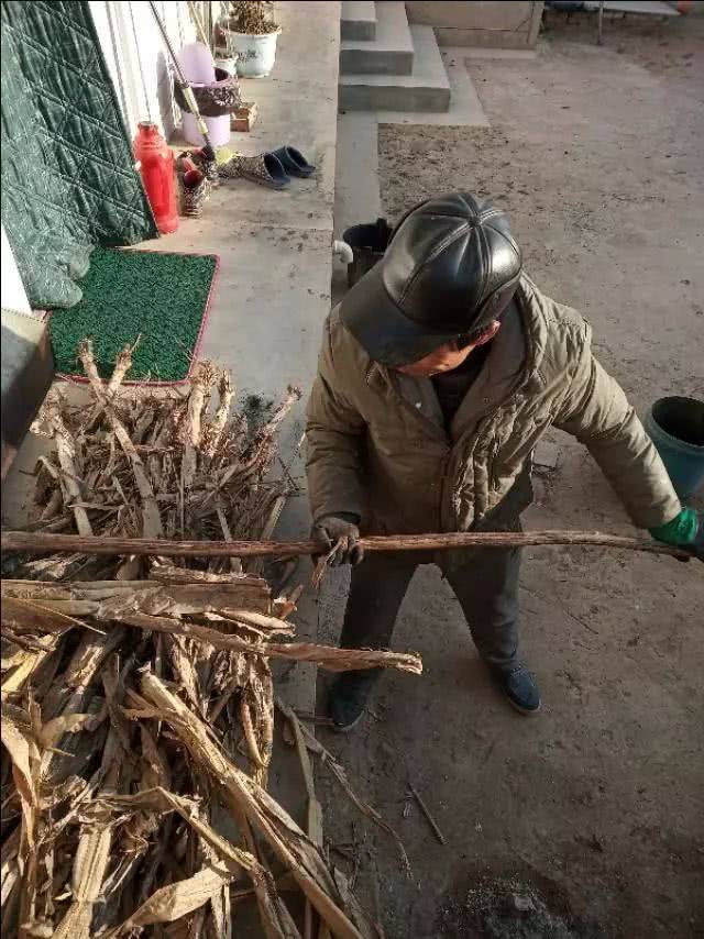 用玉米杆烧炕
