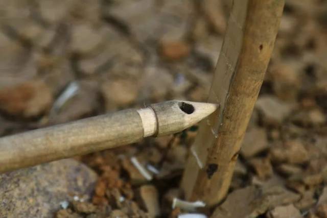 课堂野外生存之捕猎陷阱实战篇