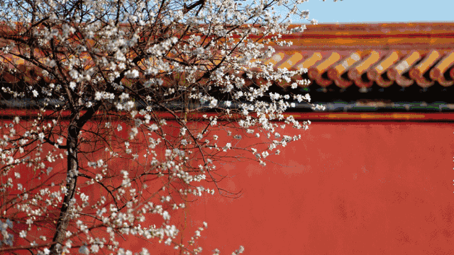 640_360gif 动态图 动图