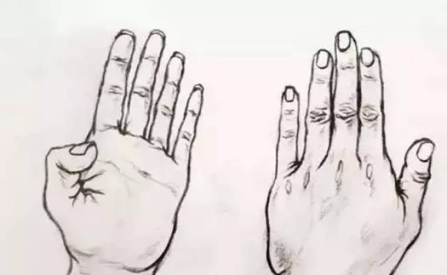速写 | 最全手部详解 别让它成为你画面上的“毒瘤”_搜狐网