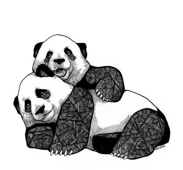 可爱的小动物创意线描画作品素材资料,收藏起来慢慢画